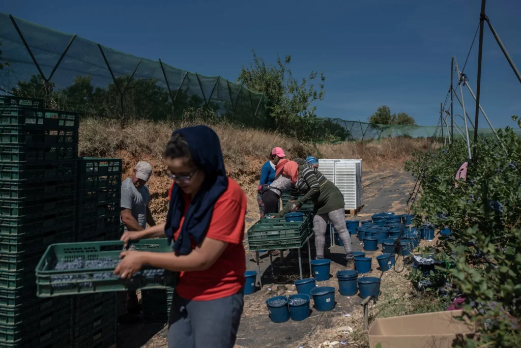 Workers on a farm in Huelva, Spain